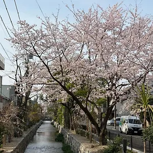  Homestay 初音